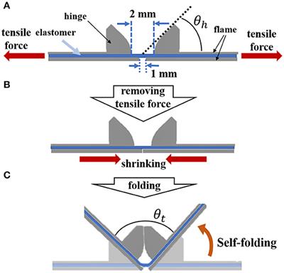 Self-Assembled 3D Actuator Using the Resilience of an Elastomeric Material